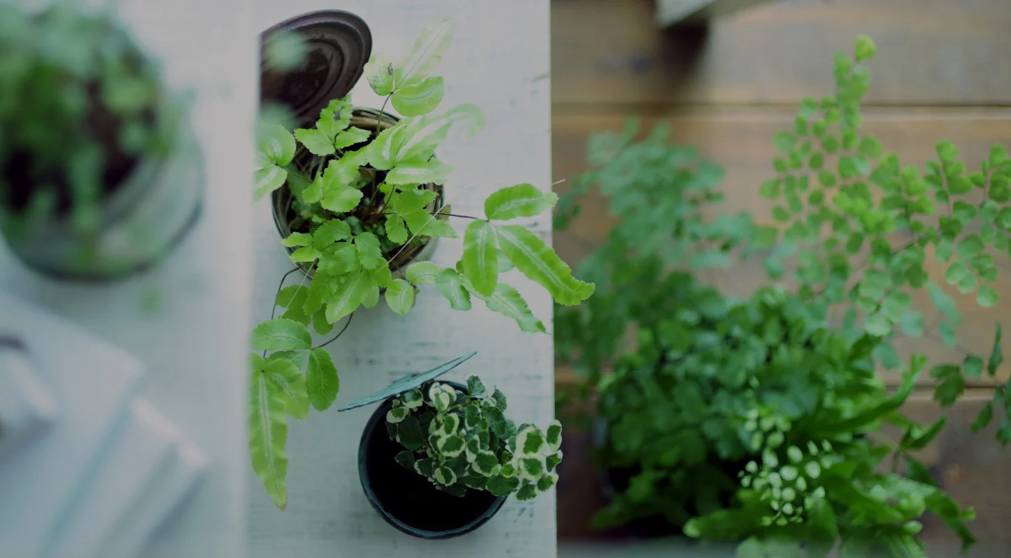 コーヒーをドリップしている写真